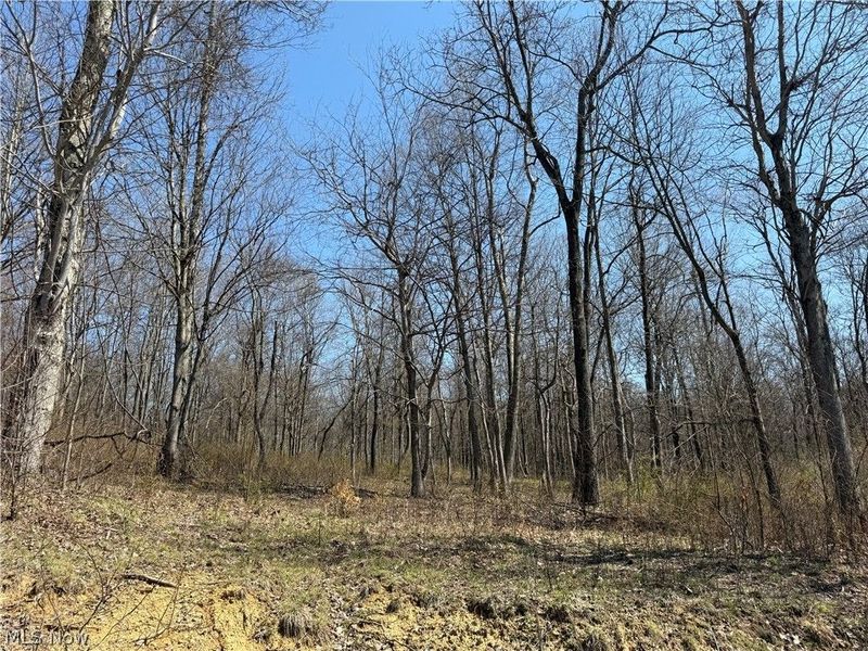 0 Kragel Road, Wintersville, OH 43953 Photo 10