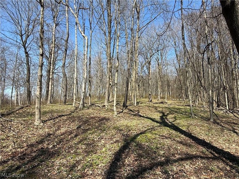 0 Kragel Road, Wintersville, OH 43953 Photo 12