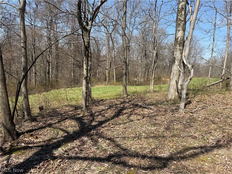 0 Kragel Road, Wintersville, OH 43953 Photo 13