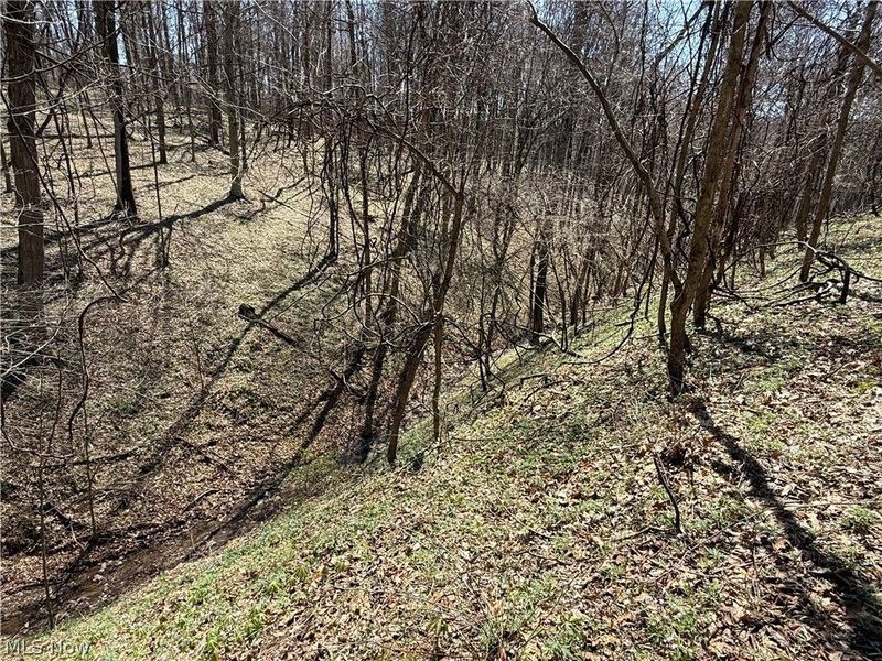 0 Kragel Road, Wintersville, OH 43953 Photo 14