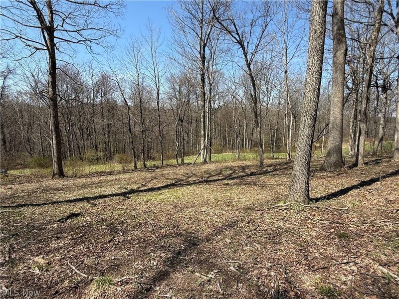 0 Kragel Road, Wintersville, OH 43953 Photo 15