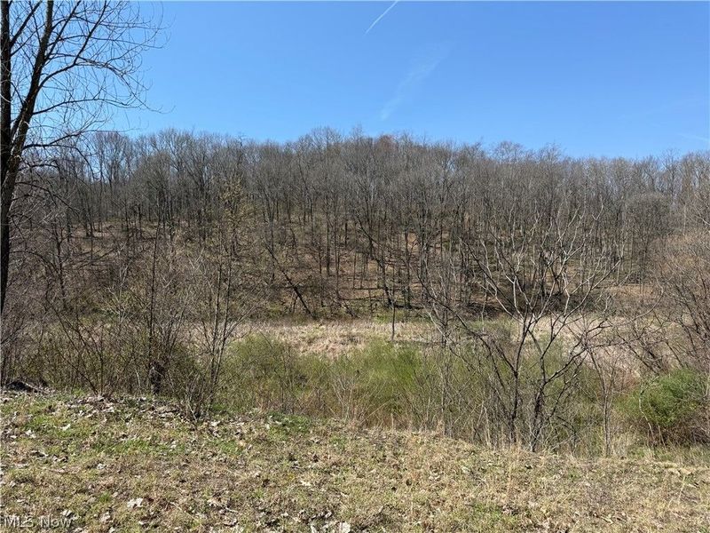 0 Kragel Road, Wintersville, OH 43953 Photo 17