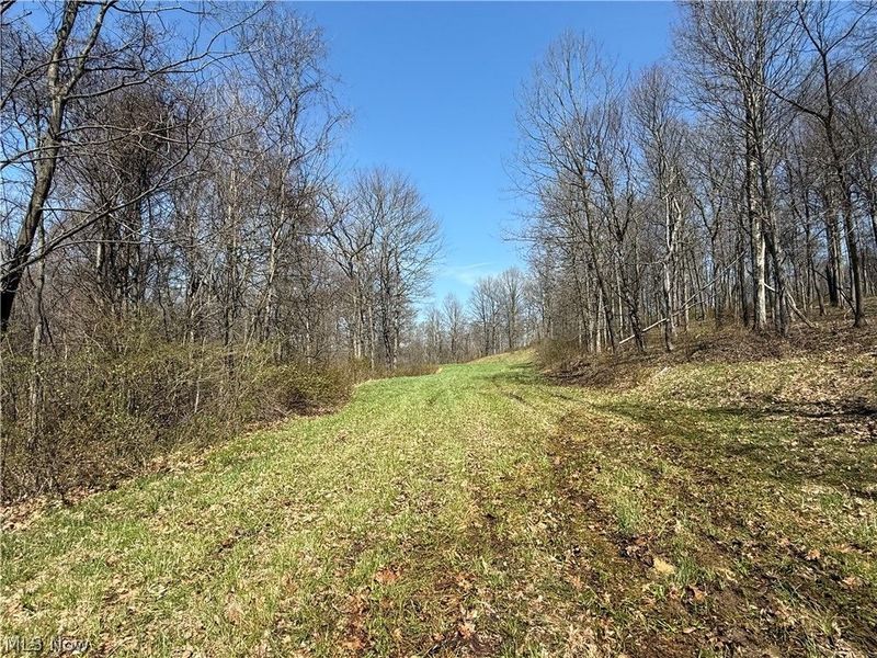 0 Kragel Road, Wintersville, OH 43953 Photo 18