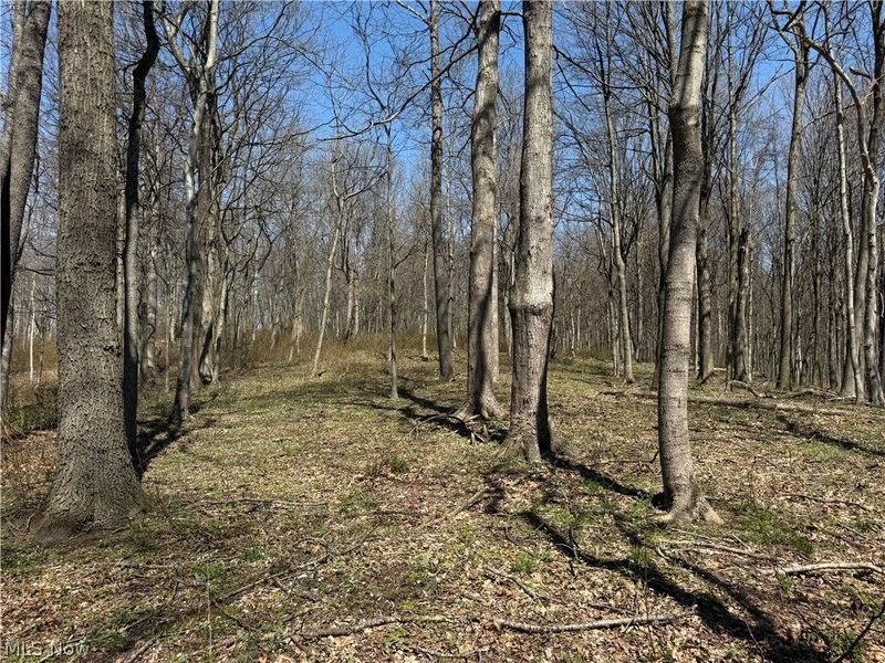 0 Kragel Road, Wintersville, OH 43953 Photo 4