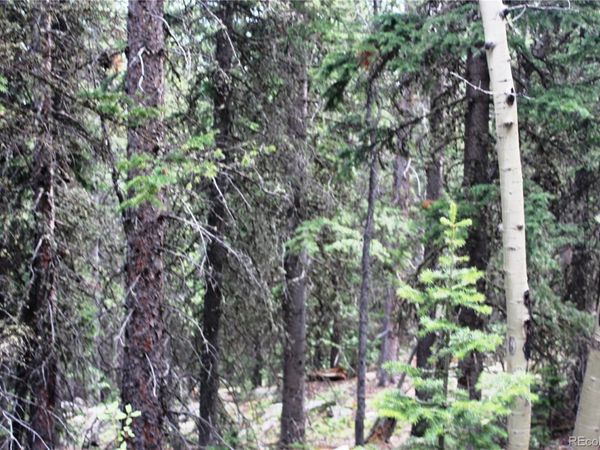 00 Hidden Wilderness Road , Idaho Springs, CO 80452