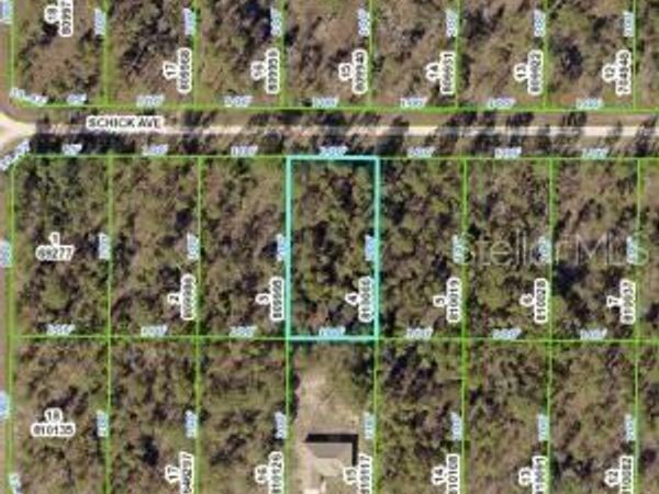 13352 SCHICK AVENUE , BROOKSVILLE, FL 34614