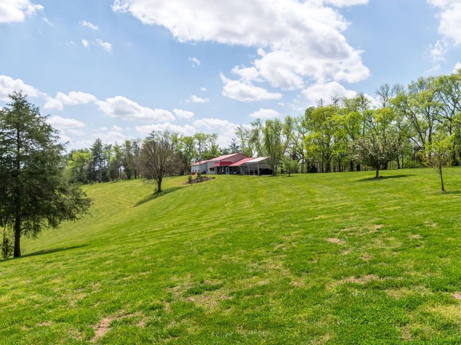 Property Image 60