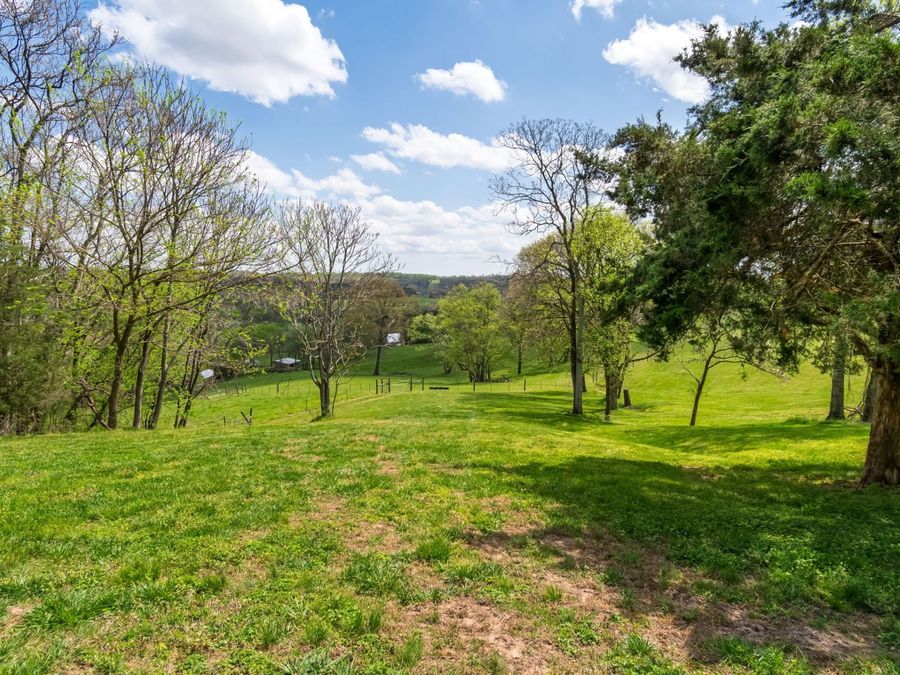 Property Image 62