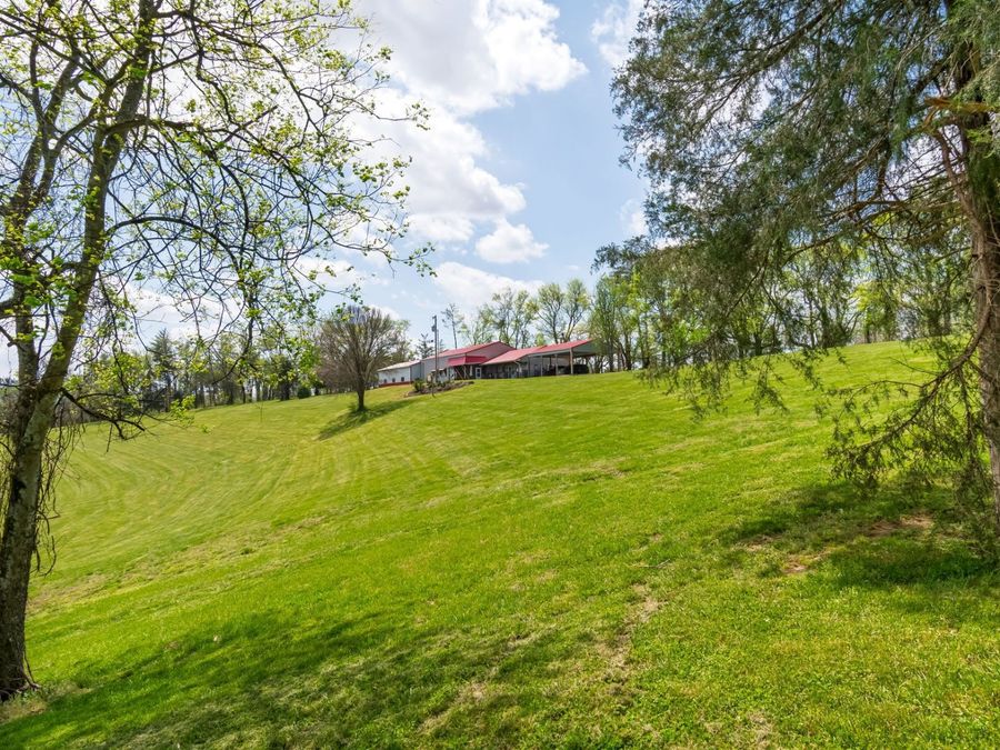 Property Image 63