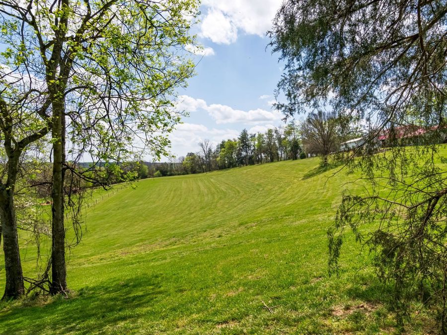 Property Image 64