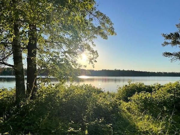 TBD Variety Lake Drive NW, Hackensack, MN 56452