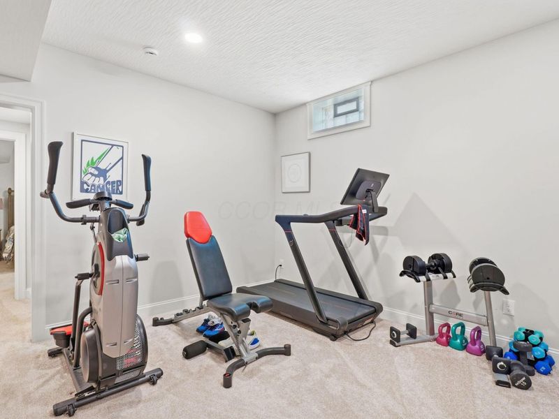 11233 Cedar Crest Drive, Plain City, OH 43064 Photo 49