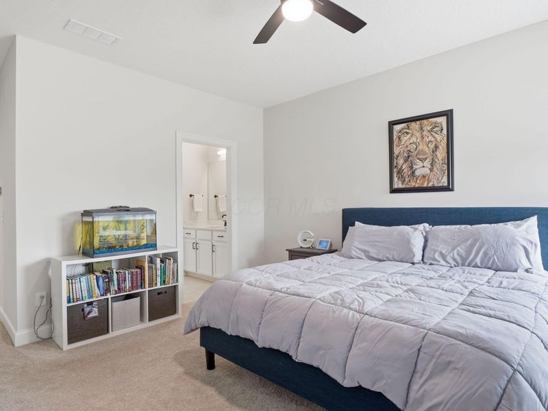 11233 Cedar Crest Drive, Plain City, OH 43064 Photo 73