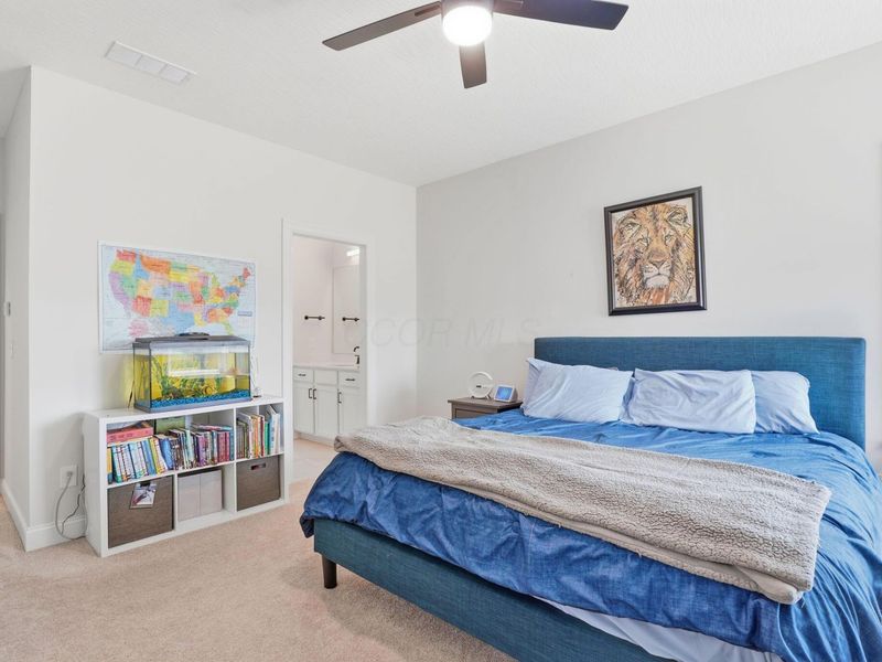 11233 Cedar Crest Drive, Plain City, OH 43064 Photo 83