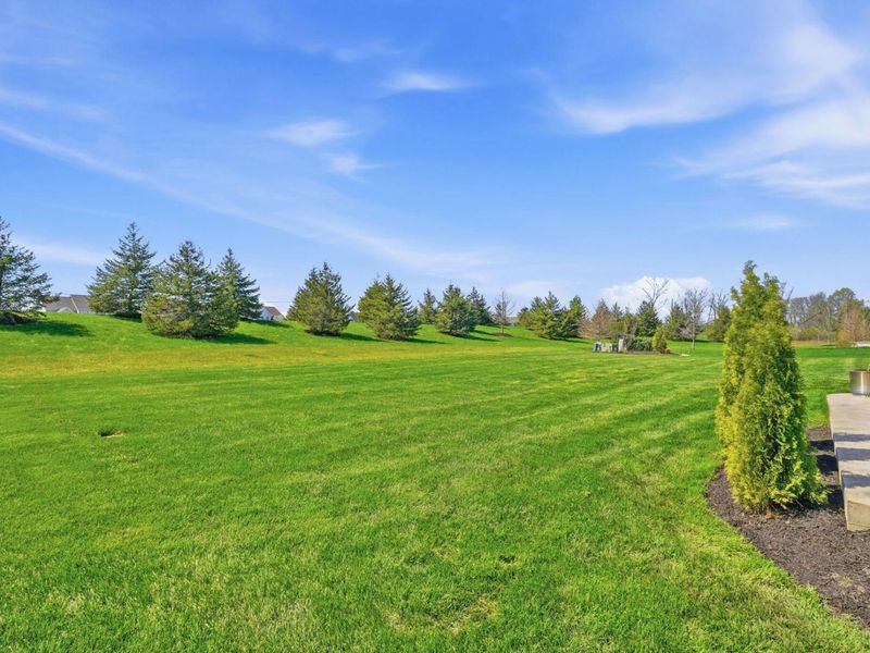 11233 Cedar Crest Drive, Plain City, OH 43064 Photo 97