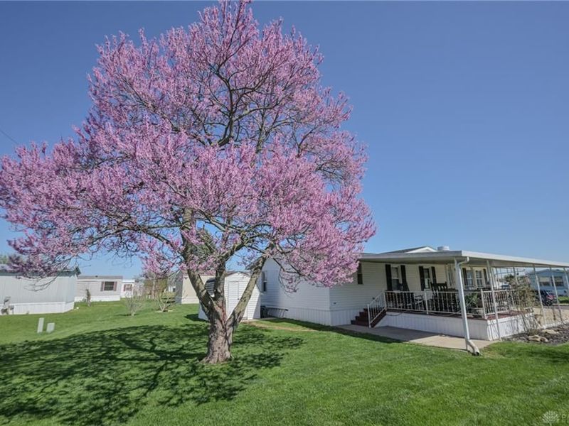 12218 Sandi Lane, Medway, OH 45341 Photo 42