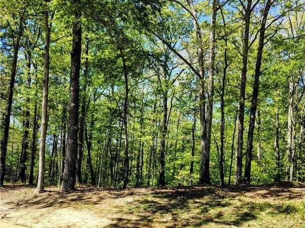 0 Clements Foley Rd, Northport, AL 35476