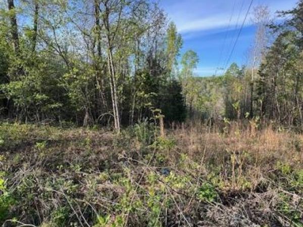 Pine Hollow Rd, Jacksboro, TN 37757