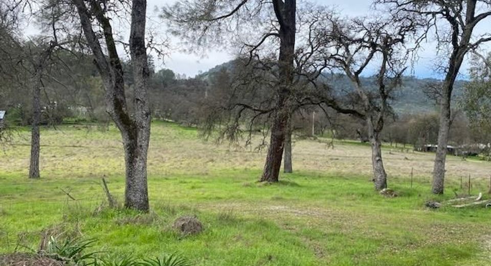 10601 Acorn Ln, Angels Camp, CA 95222 Photo