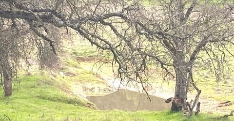 10601 Acorn Ln, Angels Camp, CA 95222 Photo