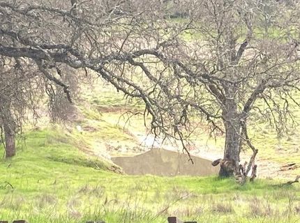 10601 Acorn Ln, Angels Camp, CA 95222 Photo