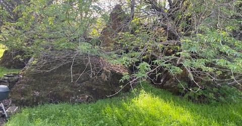 10601 Acorn Ln, Angels Camp, CA 95222 Photo