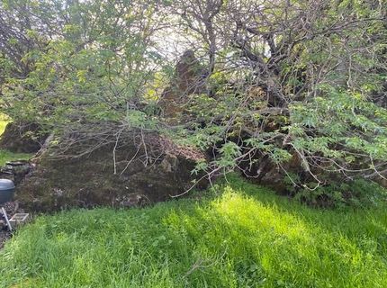 10601 Acorn Ln, Angels Camp, CA 95222 Photo