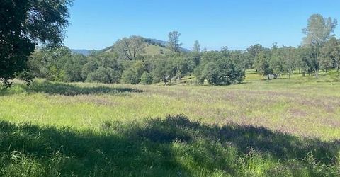 10601 Acorn Ln, Angels Camp, CA 95222 Photo