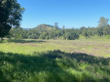 10601 Acorn Ln, Angels Camp, CA 95222 Photo