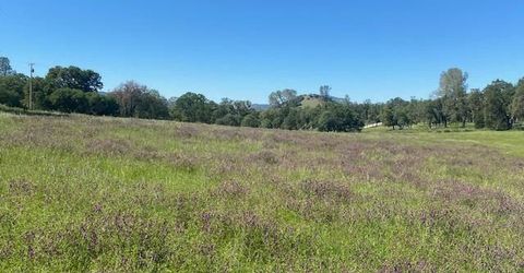 10601 Acorn Ln, Angels Camp, CA 95222 Photo