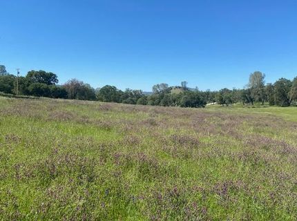 10601 Acorn Ln, Angels Camp, CA 95222 Photo