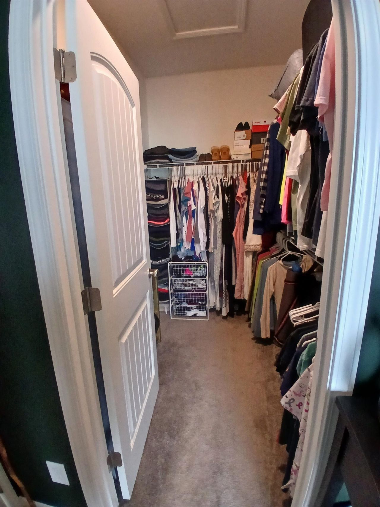 271 Palm Terrace Loop Photo 13