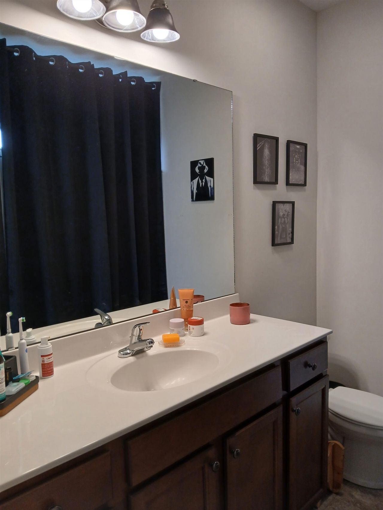 271 Palm Terrace Loop Photo 17