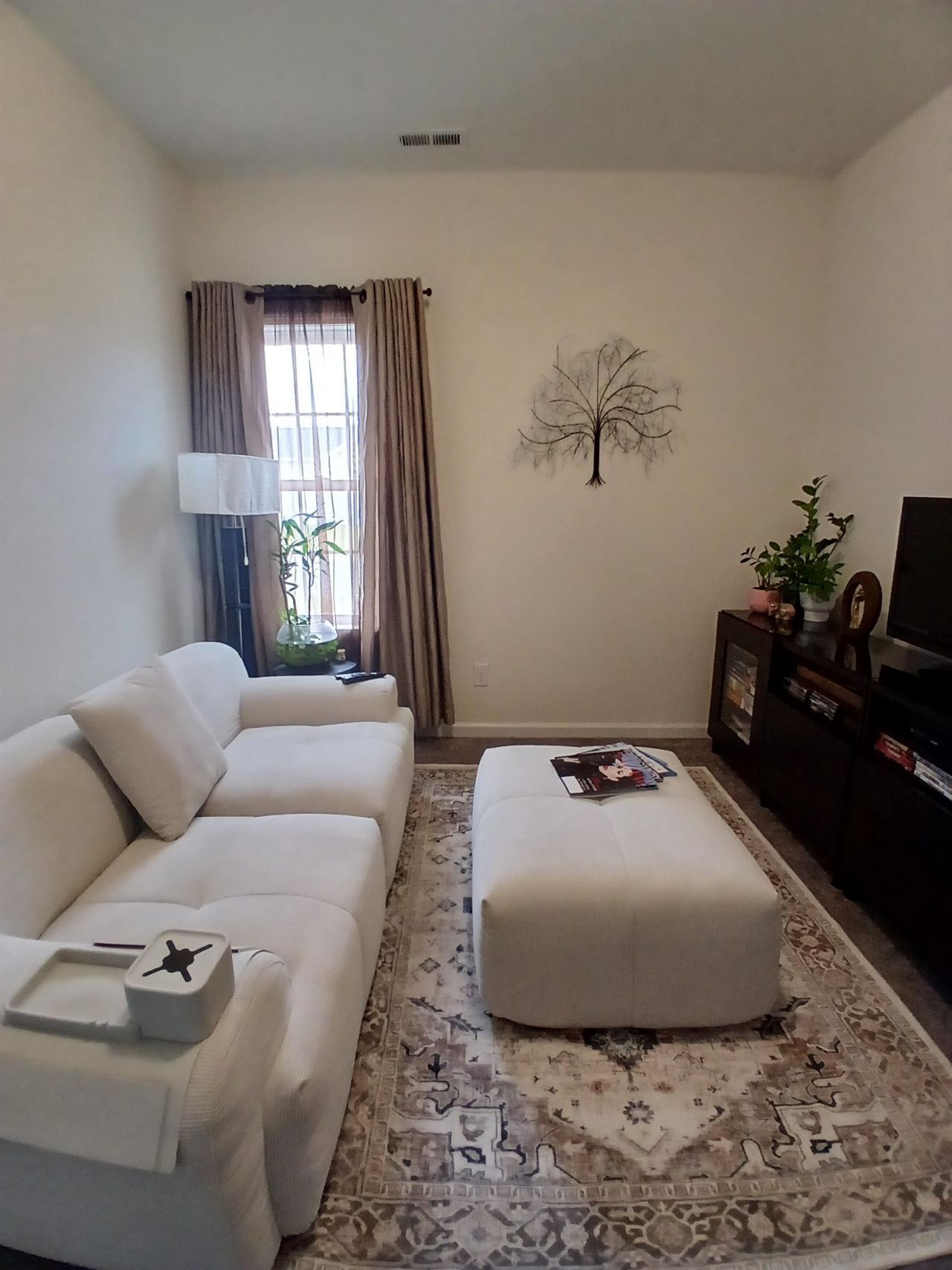 271 Palm Terrace Loop Photo 22