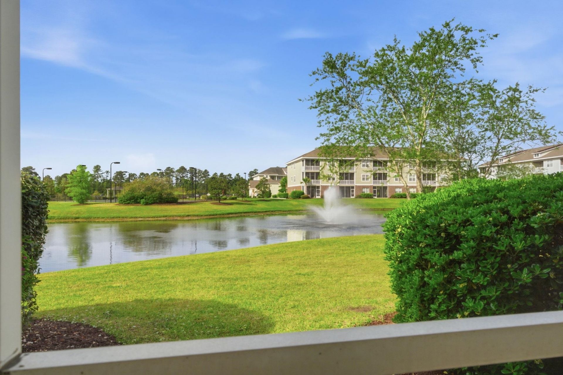 310 Kiskadee Loop Photo 11