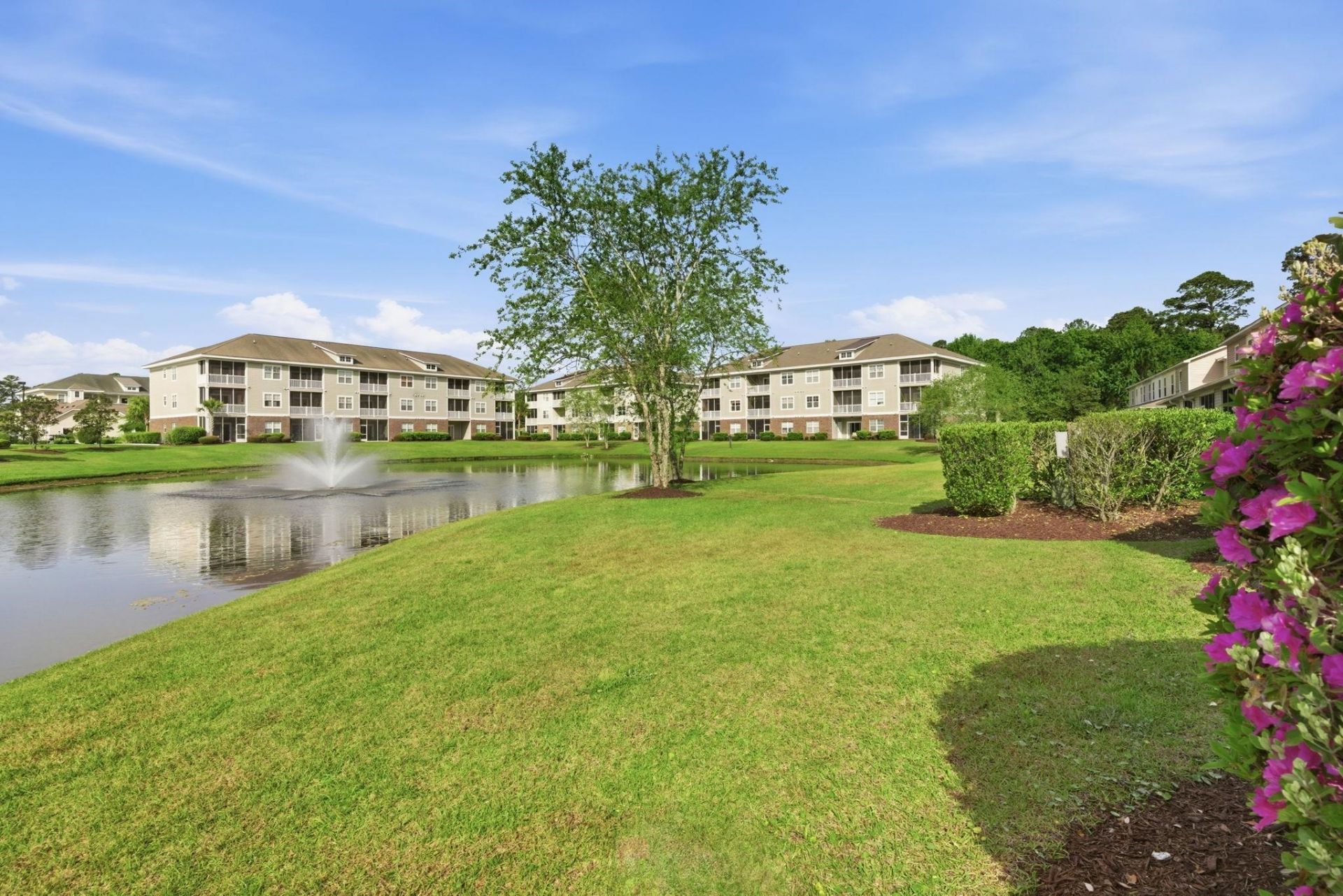 310 Kiskadee Loop Photo 32