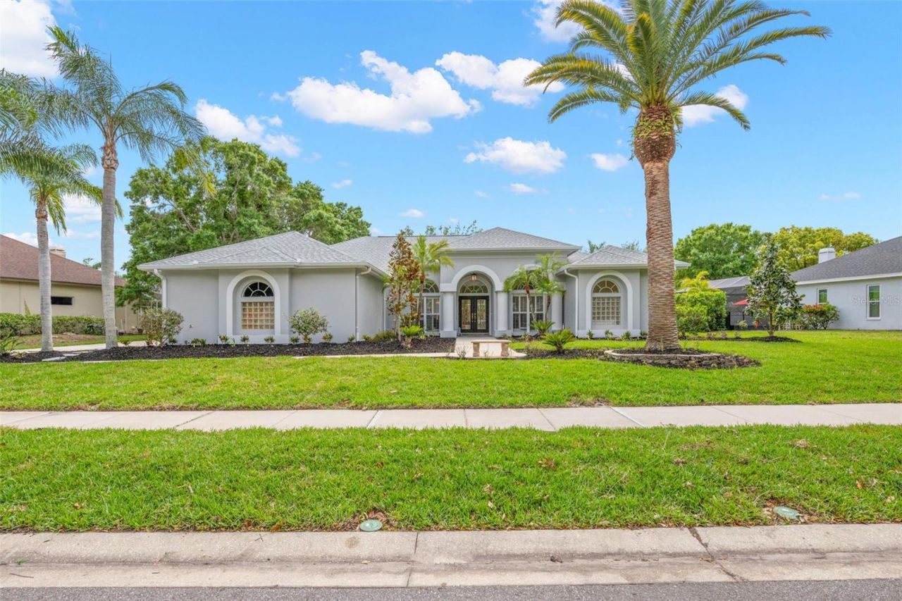 3692 Johnathon Avenue, Palm Harbor, FL 34685 Photo