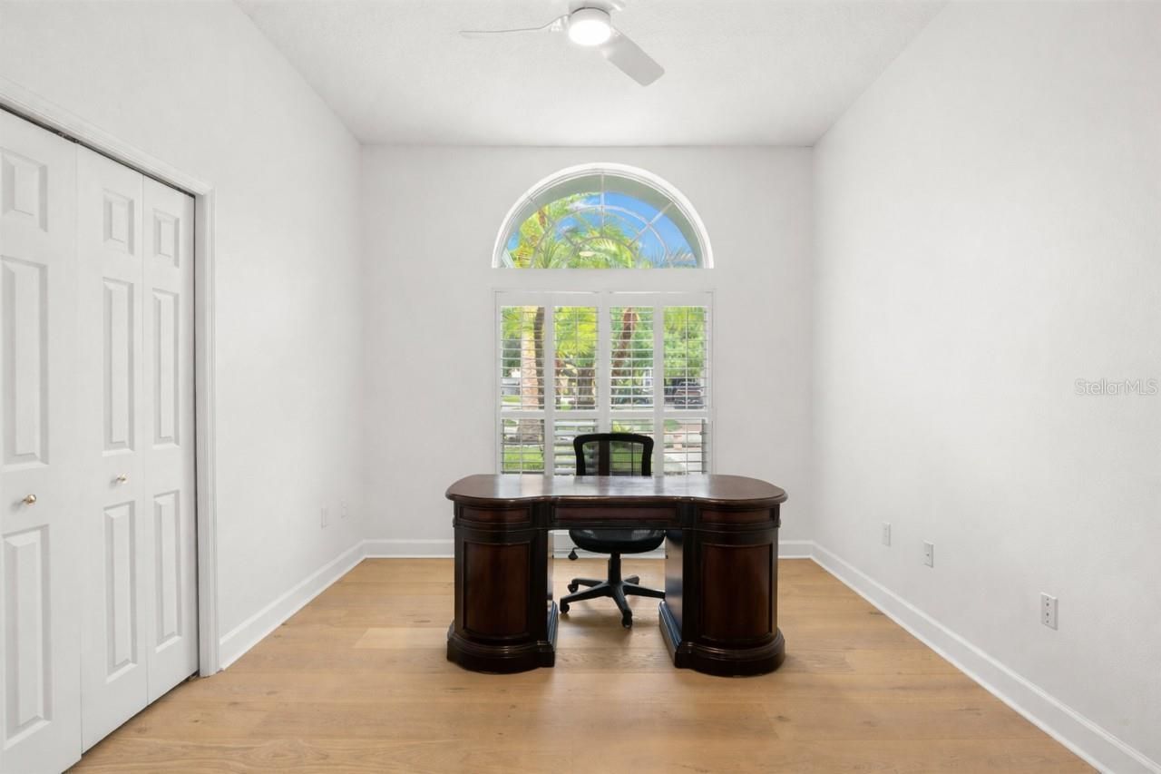 3692 Johnathon Avenue, Palm Harbor, FL 34685 Photo