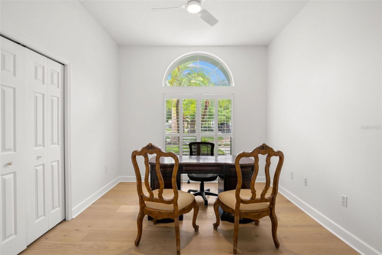 3692 Johnathon Avenue, Palm Harbor, FL 34685 Photo