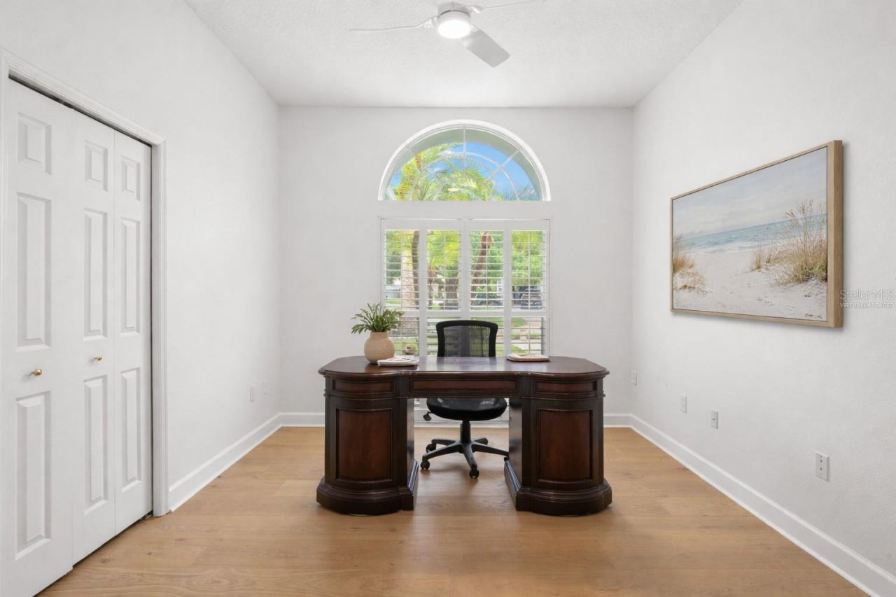 3692 Johnathon Avenue, Palm Harbor, FL 34685 Photo