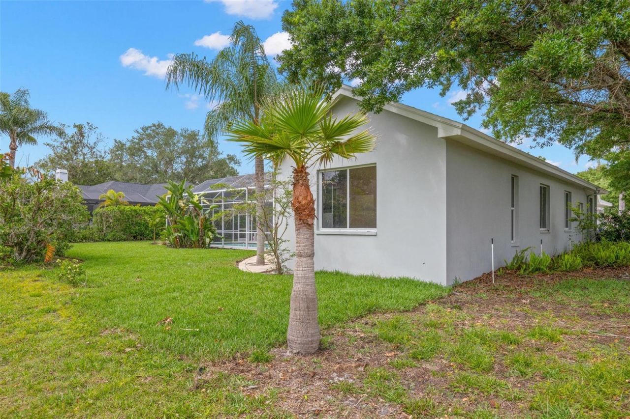 3692 Johnathon Avenue, Palm Harbor, FL 34685 Photo