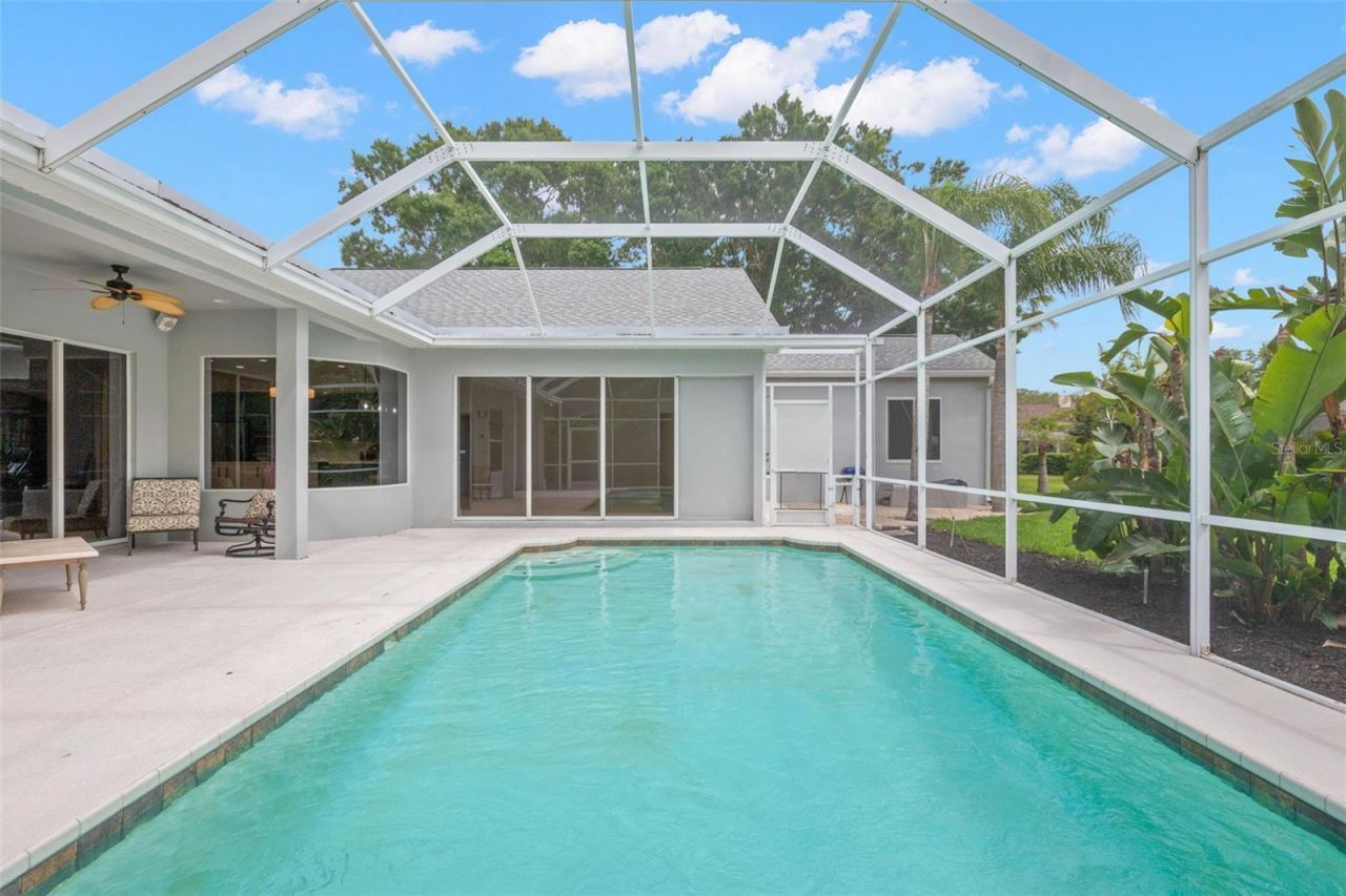 3692 Johnathon Avenue, Palm Harbor, FL 34685 Photo