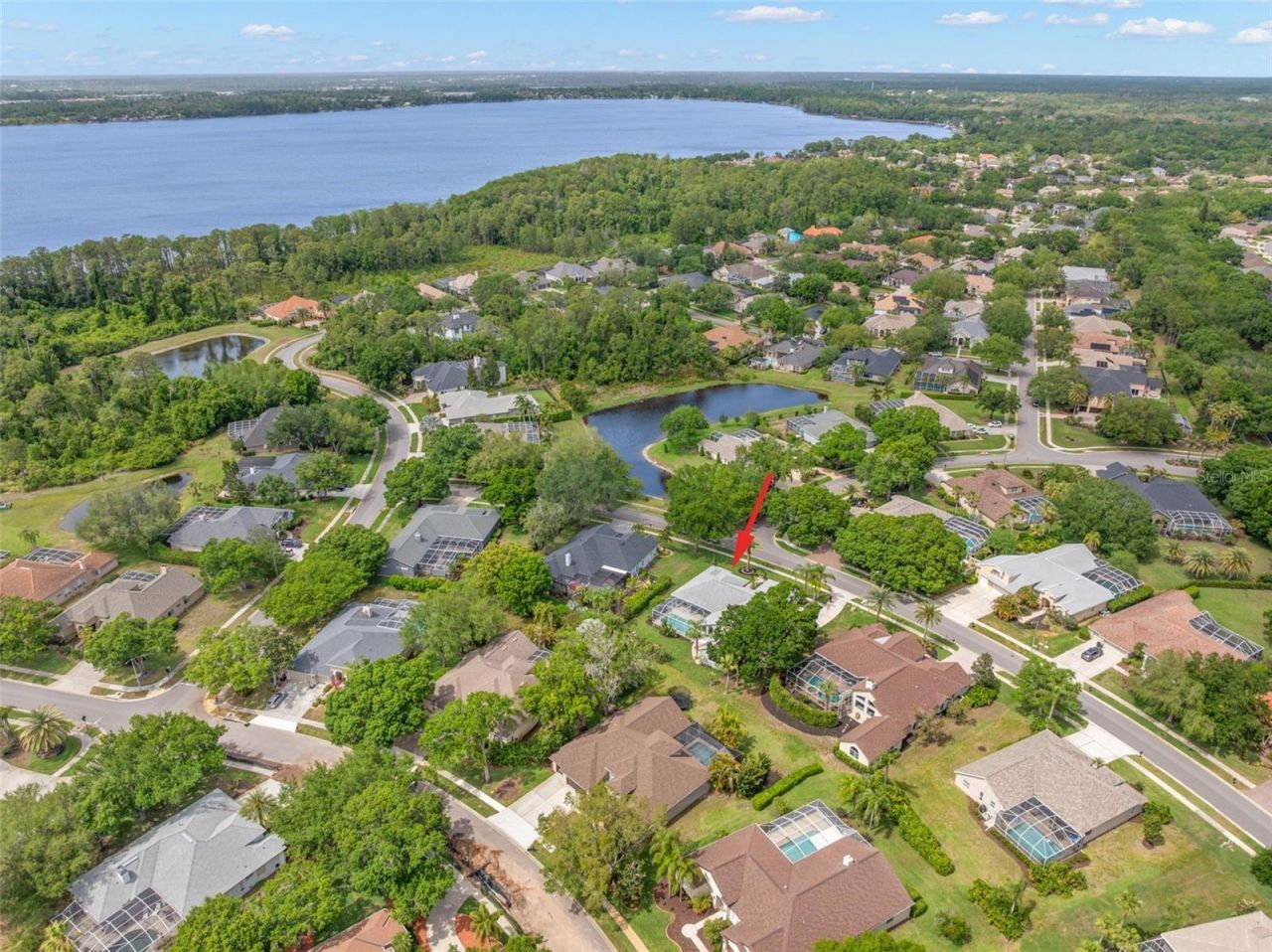 3692 Johnathon Avenue, Palm Harbor, FL 34685 Photo