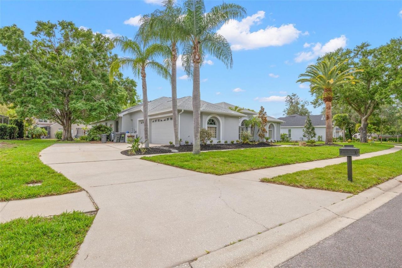 3692 Johnathon Avenue, Palm Harbor, FL 34685 Photo