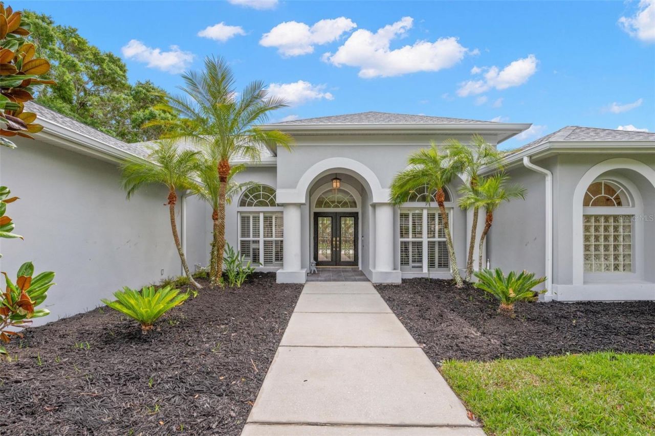 3692 Johnathon Avenue, Palm Harbor, FL 34685 Photo