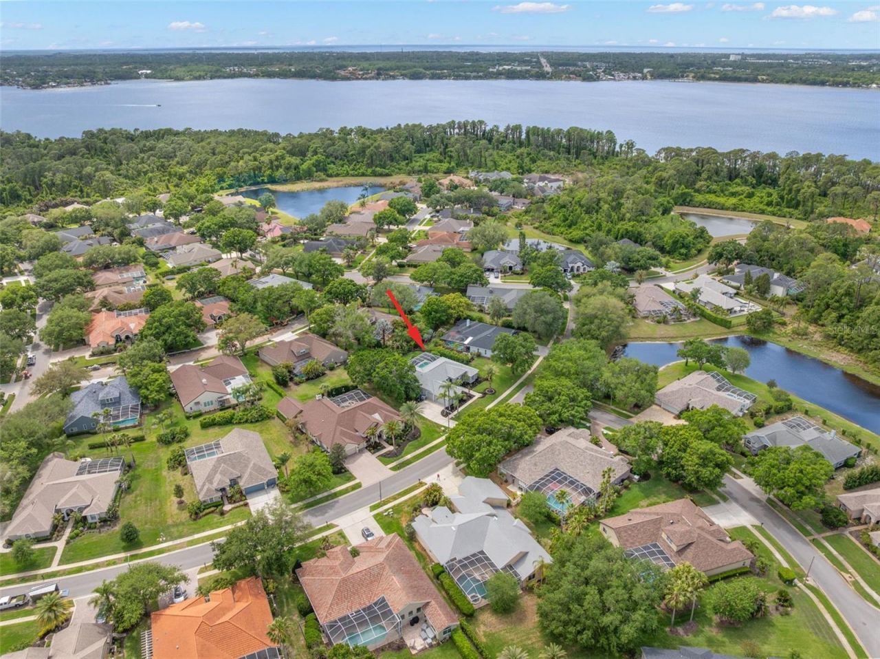 3692 Johnathon Avenue, Palm Harbor, FL 34685 Photo