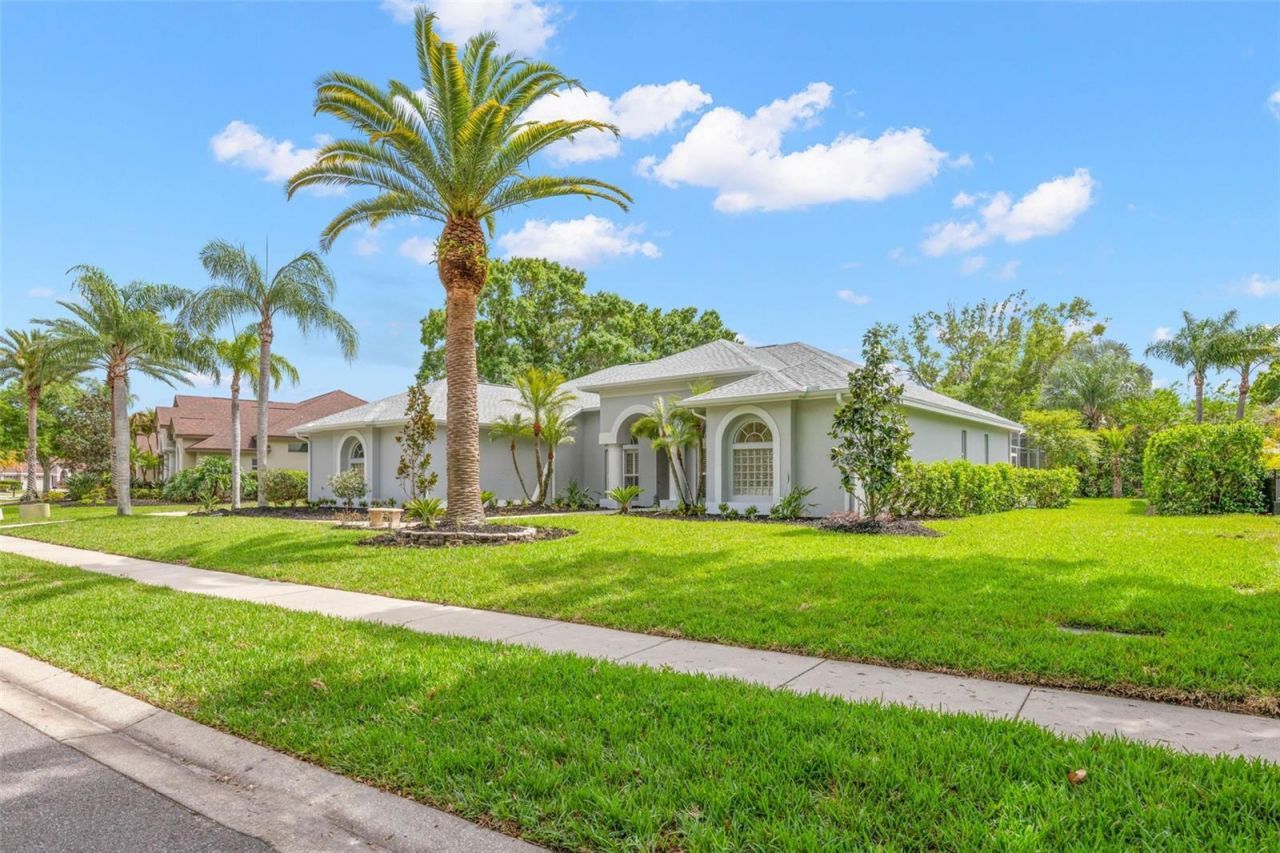 3692 Johnathon Avenue, Palm Harbor, FL 34685 Photo