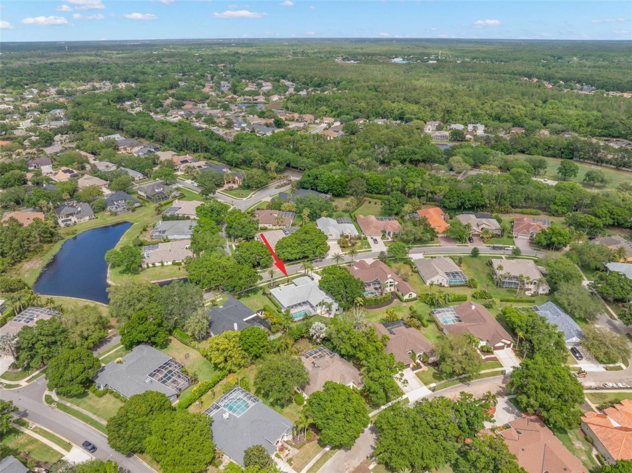 3692 Johnathon Avenue, Palm Harbor, FL 34685 Photo