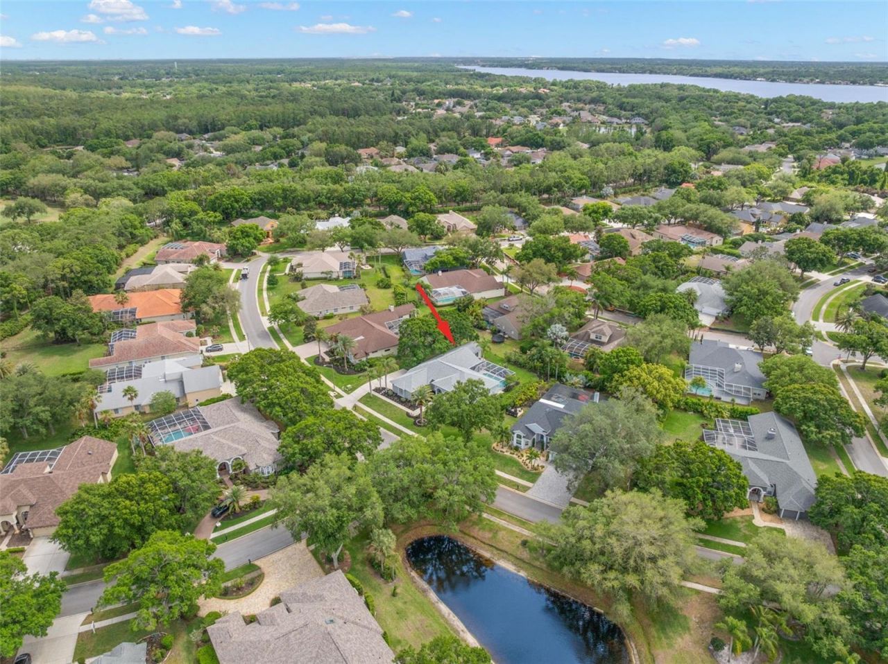 3692 Johnathon Avenue, Palm Harbor, FL 34685 Photo