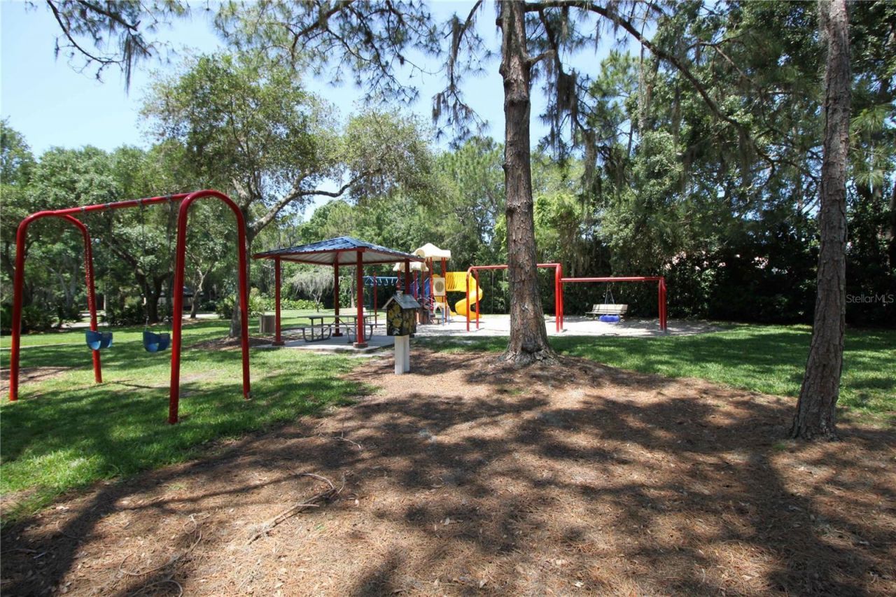 3692 Johnathon Avenue, Palm Harbor, FL 34685 Photo
